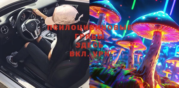 не бодяженный Заводоуковск