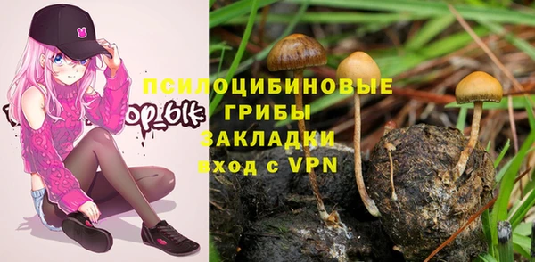 не бодяженный Заводоуковск
