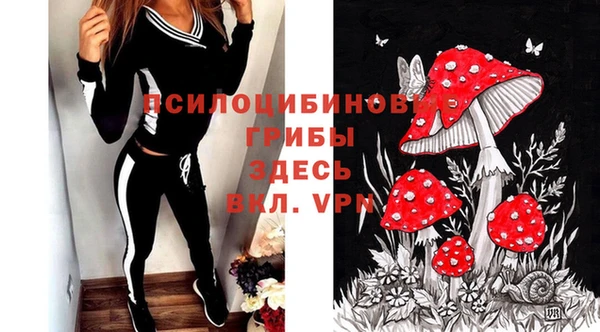 не бодяженный Заводоуковск