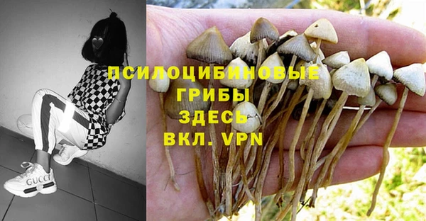 бошки Заволжье
