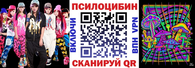 Купить  Инсар  Псилоцибиновые грибы GOLDEN TEACHER 